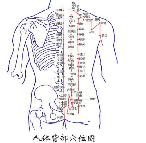 背部有痣代表什么|背部有痣图解大全 背部有痣的人看命运